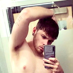 Alfienorth VIP photo