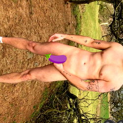 Alfienorth VIP photo