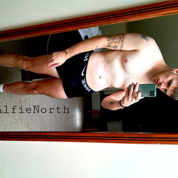 Alfienorth VIP photo