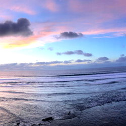 s i r e n a 🦋 photo