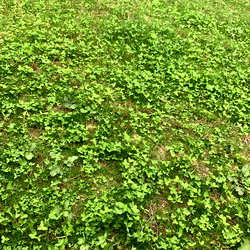 u70620661 photo