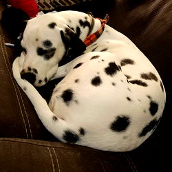 Ana Byrnes - The Ultimate Sensation on OnlyFans