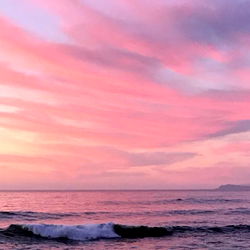 𝑻𝒂𝒓𝒂𝒏𝒕𝒊𝒏𝒐 photo