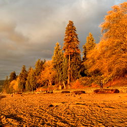 Damien Lou: Man, Muscle, Shirtless & Bathroom on OnlyFans