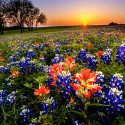 Average Soccer Mom - Passion Unleashed on OnlyFans