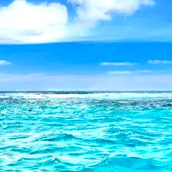 The Shibari Kitten Goes Free photo