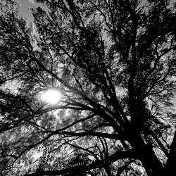 retr04ctive photo