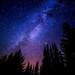 Teamstee | Top Adult Entertainer in Swimwear & Bikini Content