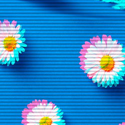 Emms• aka Queenstarb photo