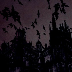 ⛧ ☾༺ ♰ Lex ♰༻☽⛧ photo