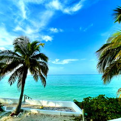 ᗷᗩ𝗂ᒪ𝖤Y🫧🐠 photo