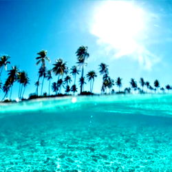 ᗷᗩ𝗂ᒪ𝖤Y🫧🐠 photo