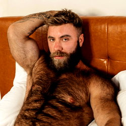 Teddy Bear photo