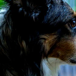 Mia Rand | Passionate & Experienced OnlyFans Model