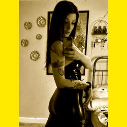 S U N F L O W E R photo