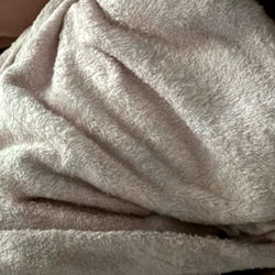 Da Carmel Bombshell photo