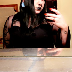 Bats photo