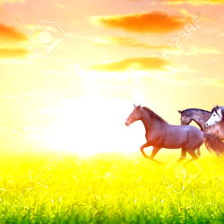 BabesWhoEat - 28 Year Old Model from California