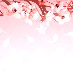 Victoria Salvatore - Stunning Trans Model