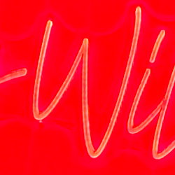 Coy Wilder FREE Page 🤠 - The Ultimate Online Experience