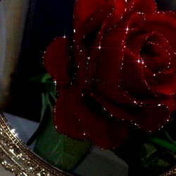 Alivia Elle 🖤 - The Charismatic Canadian Beauty