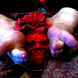 Explore the Enchanting World of PiggiesAtPlay on OnlyFans