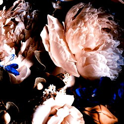 PEACHY BOY - The Ultimate Only Fans Experience