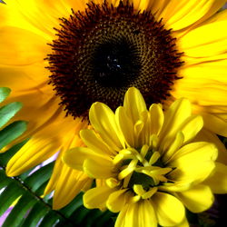 Digitalprincxss - Model Page