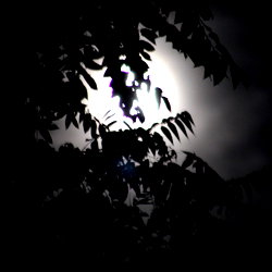 TauriMoon photo