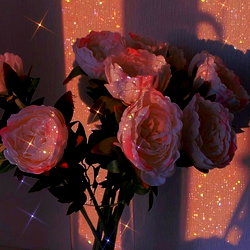 ♡ 𝓉𝒾𝒻𝒻𝒶𝓃𝓎 𝒽𝒾𝓁𝓁𝓈 ♡ photo