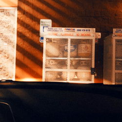 Dee Williams | The Outdoors Enthusiast's Passion Unleashed on OnlyFans