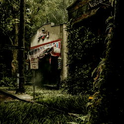 🌲 • 🐰 Bunny Boy 🐰 •🌲 HE/THEY photo