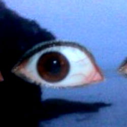 Bailey Jay - The Ultimate American Sensation