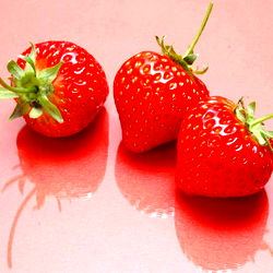 Kaia's Exclusive OnlyFans Catalogue