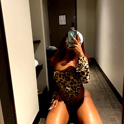 $lutty Stallion photo