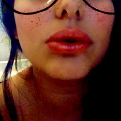 Persian Kittey photo