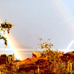 Coco Chloe's OnlyFans - Exclusive Content for Passionate Fans