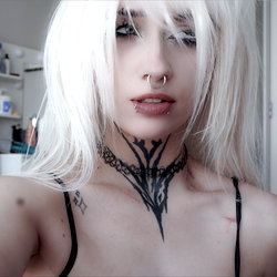 harlow !!! photo