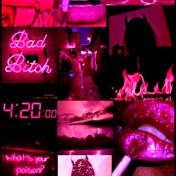 KENDRA PRINCESS photo