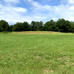 Explore the Enchanting World of Bossman on OnlyFans