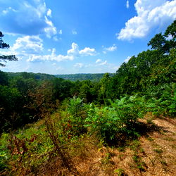 Hayden Greene's OnlyFans: A Unique Blend of Muscle and Creativity