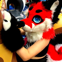 Alistair king wonder photo