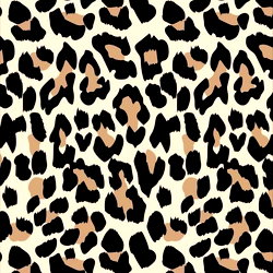 𝙺𝚒𝚝𝚝𝚢 𝙲𝚊𝚝𝚎✨🐆💕 photo