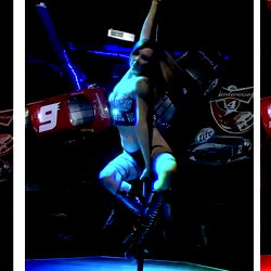StrippaB!tch photo