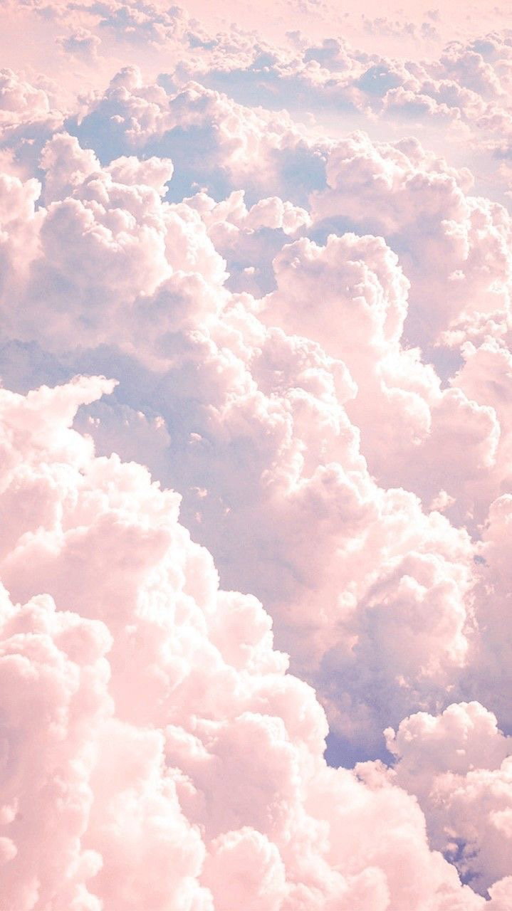 김오아 photo