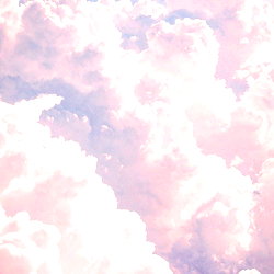 김오아 photo