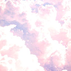 김오아 photo