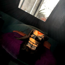 Evee Carolina❤️‍🔥 🇦🇷 photo