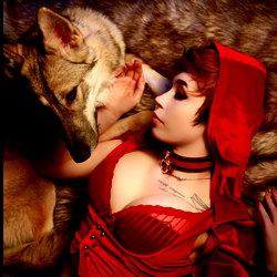 Wolfie 🐾 photo