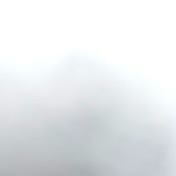 Reilly Golden's OnlyFans Catalogue